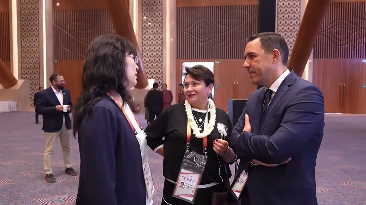 Delegates at an international assembly produced by VConnect